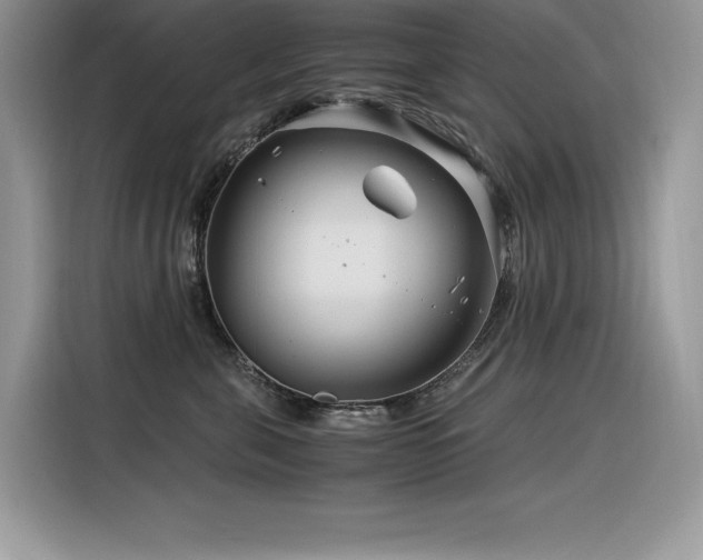 X0000116390571200912021542