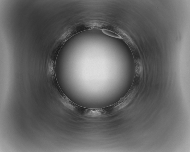 X0000116390573200912021542
