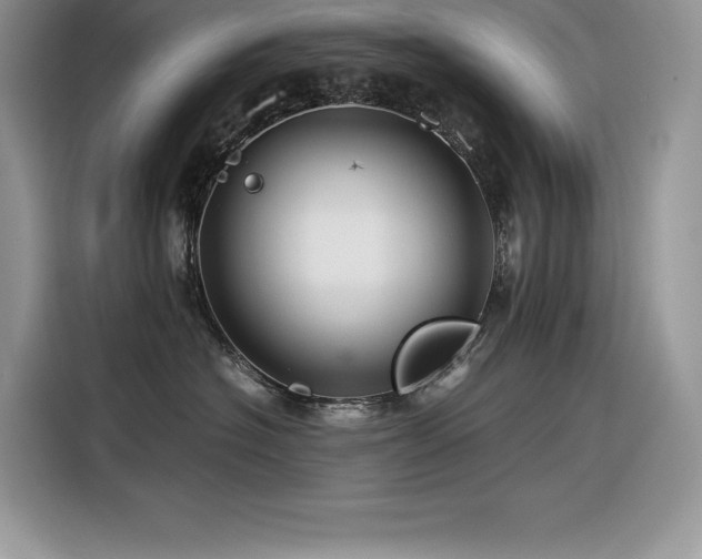 X0000116390574200912021542