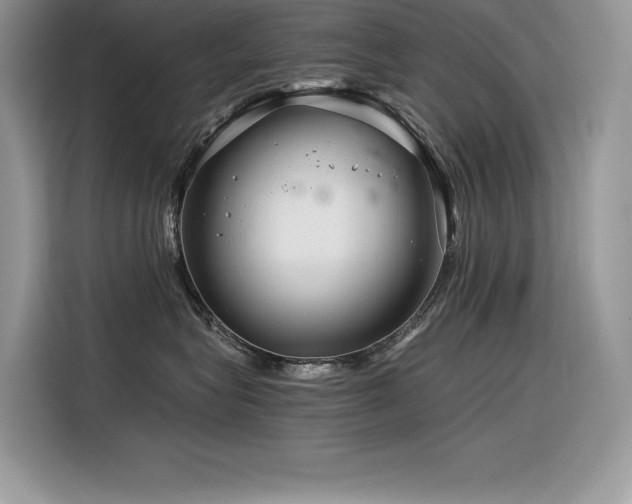 X0000116390575200912021542