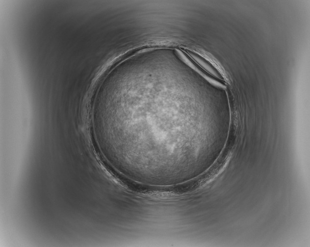 X0000116390577200912021541