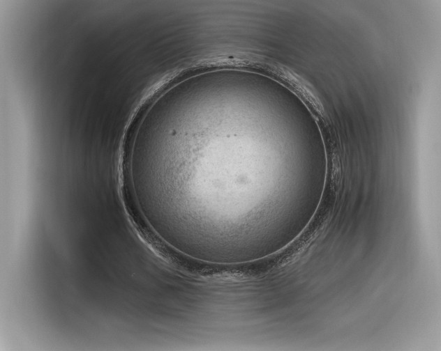 X0000116390578200912021541