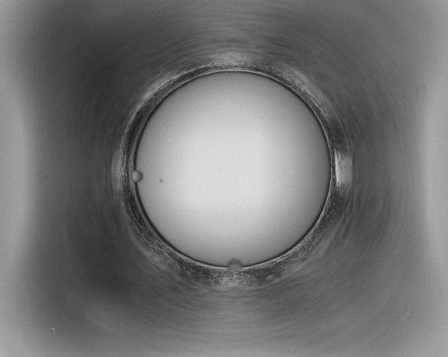 X0000116390579200912021541