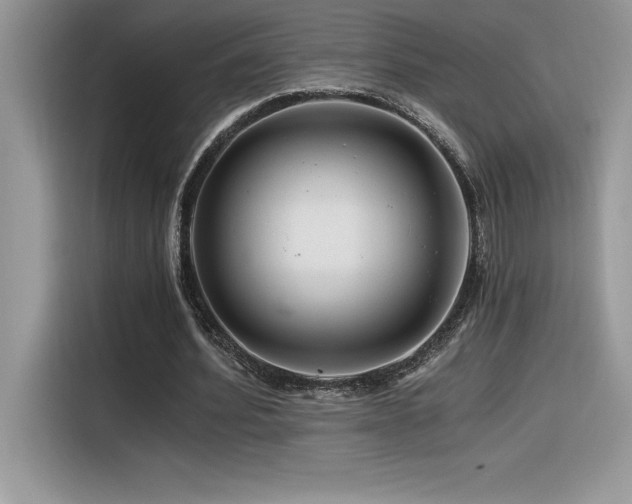 X0000116390580200912021541
