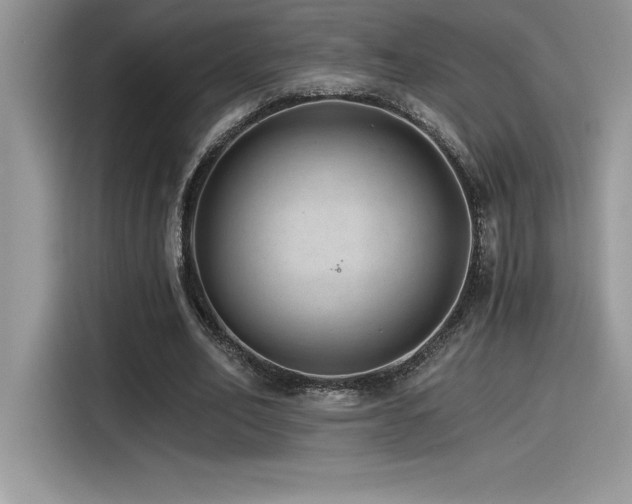 X0000116390582200912021541