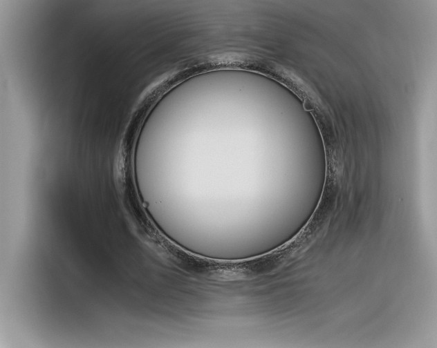 X0000116390583200912021541