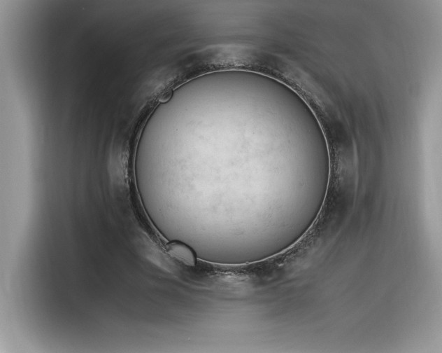 X0000116390585200912021541