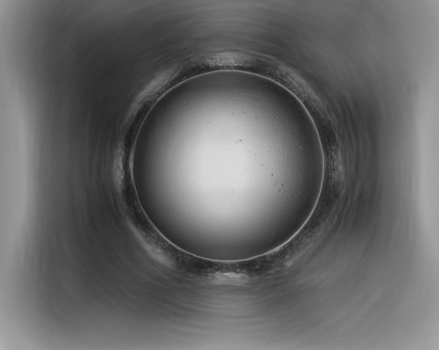 X0000116390586200912021541