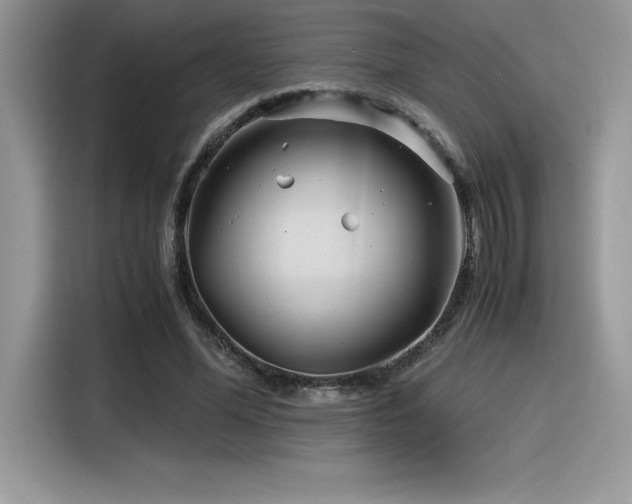 X0000116390588200912021541