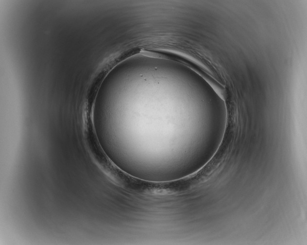 X0000116390590200912021541