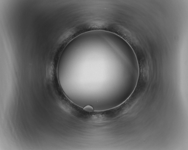 X0000116390591200912021541