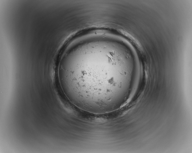X0000116390592200912021541