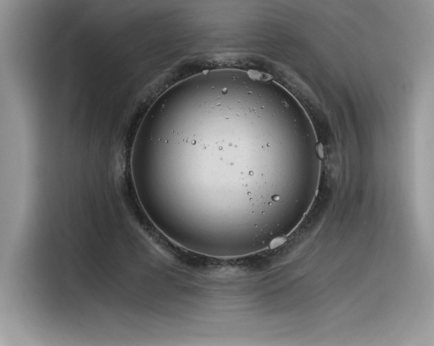 X0000116390593200912021541