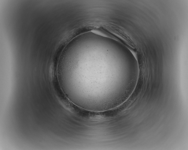 X0000116390594200912021541
