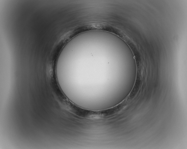 X0000116390595200912021541