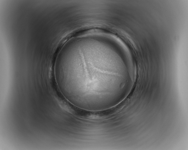 X0000116390596200912021541