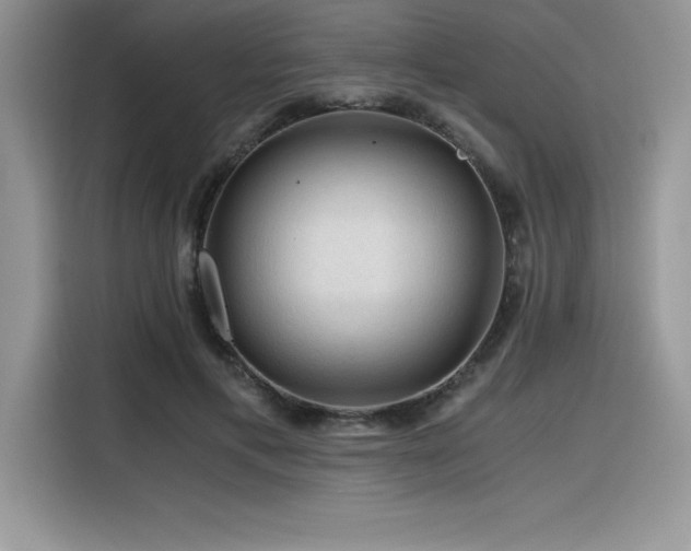 X0000116390597200912021541