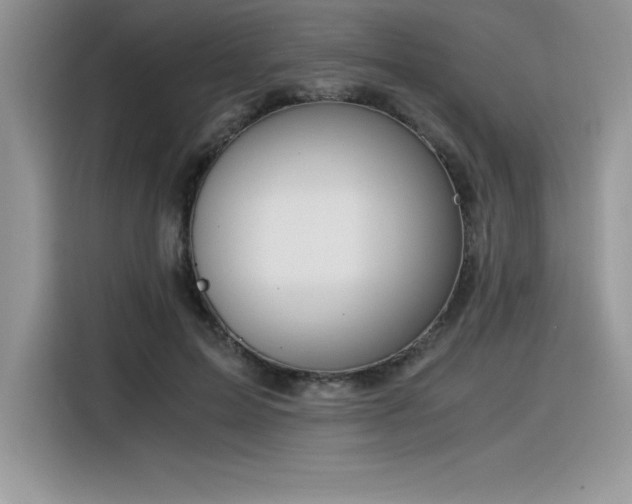 X0000116390599200912021541
