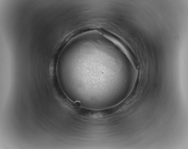 X0000116390600200912021541