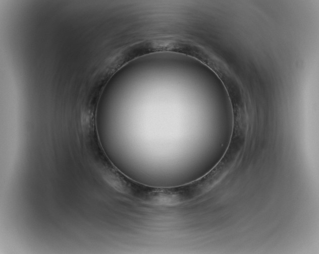 X0000116390601200912021541