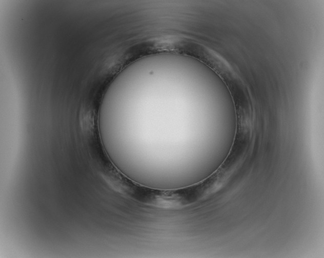 X0000116390603200912021541