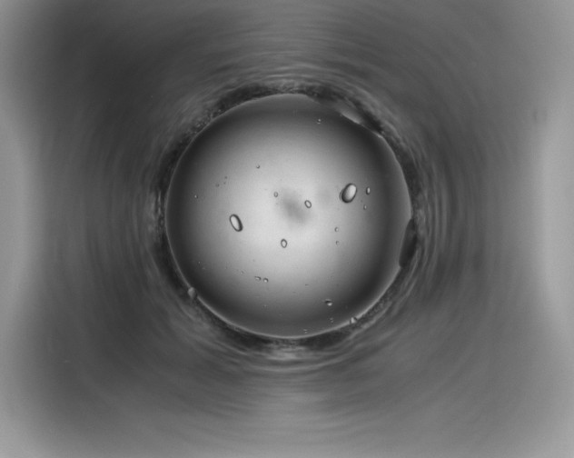 X0000116390605200912021541