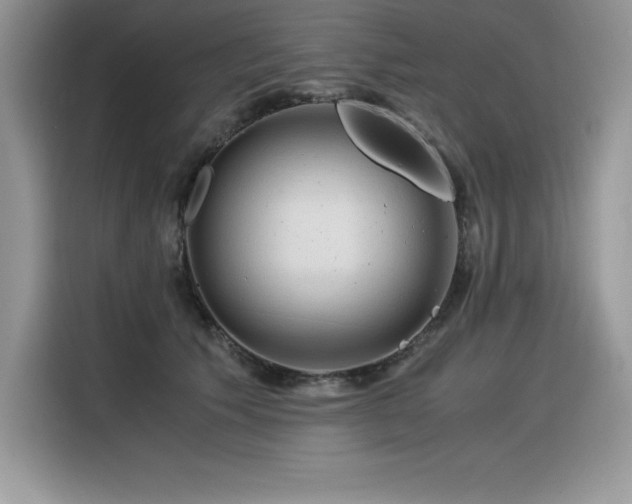X0000116390609200912021541