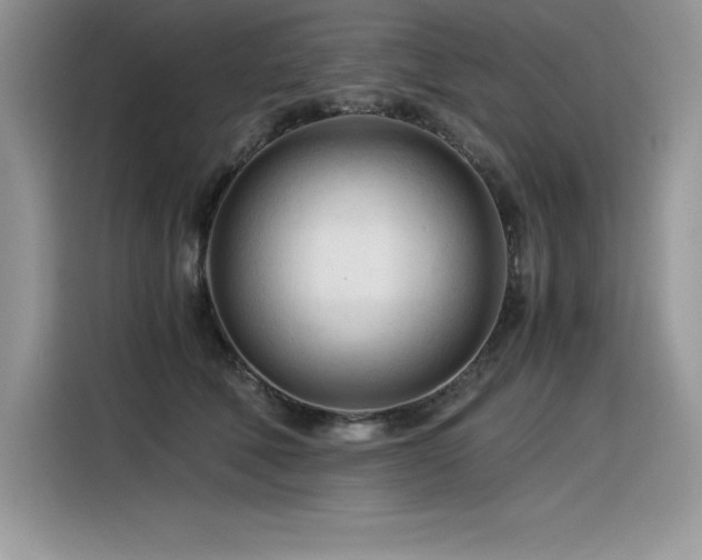 X0000116390610200912021541