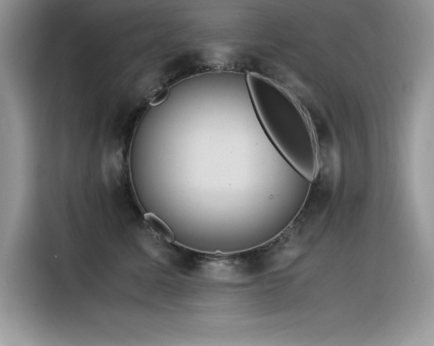 X0000116390611200912021541