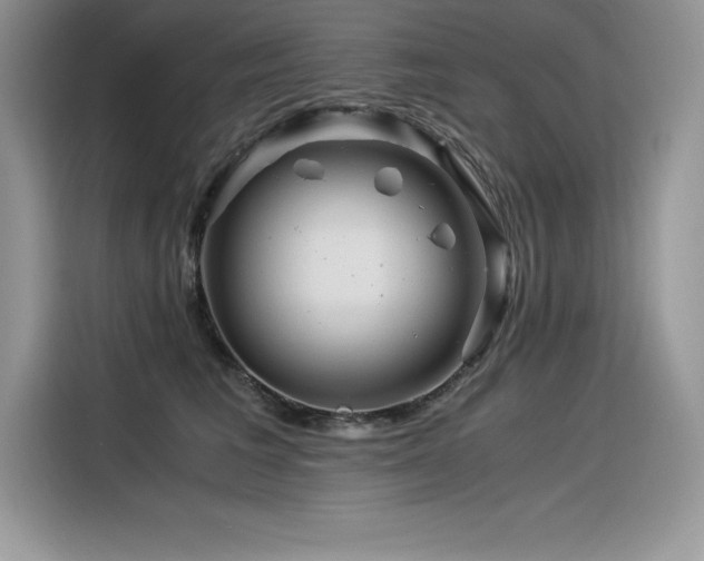 X0000116390613200912021541