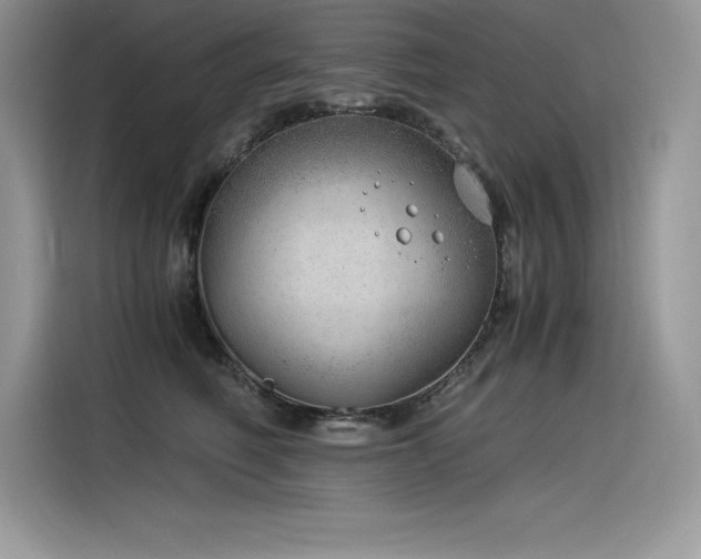 X0000116390614200912021541
