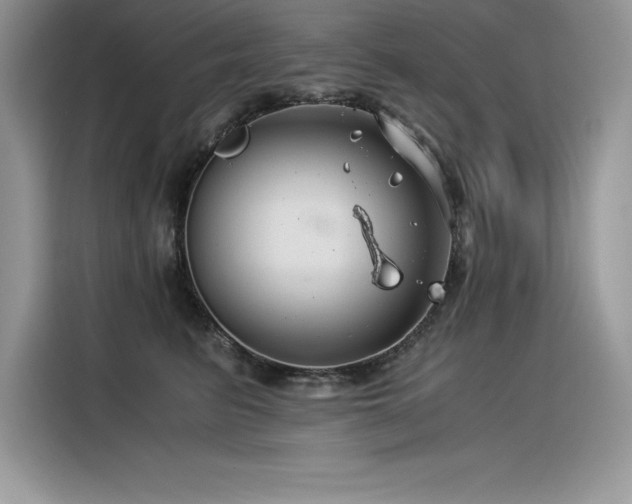 X0000116390615200912021541