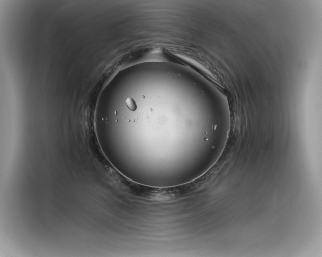 X0000116390616200912021541