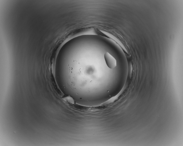X0000116390617200912021541