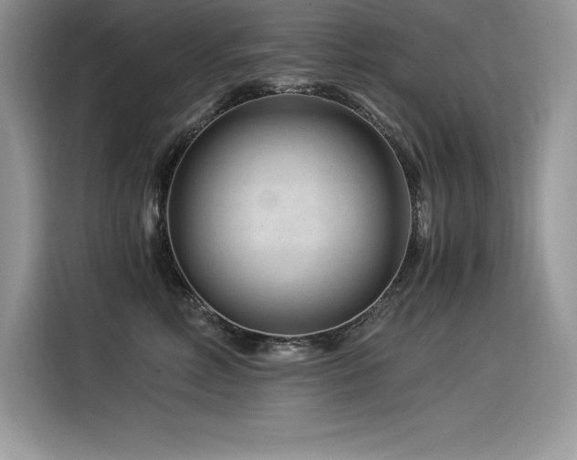 X0000116390618200912021541