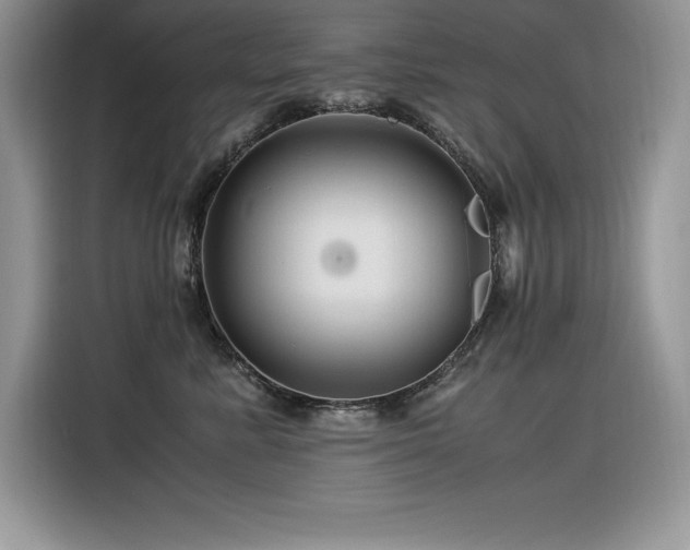X0000116390619200912021541