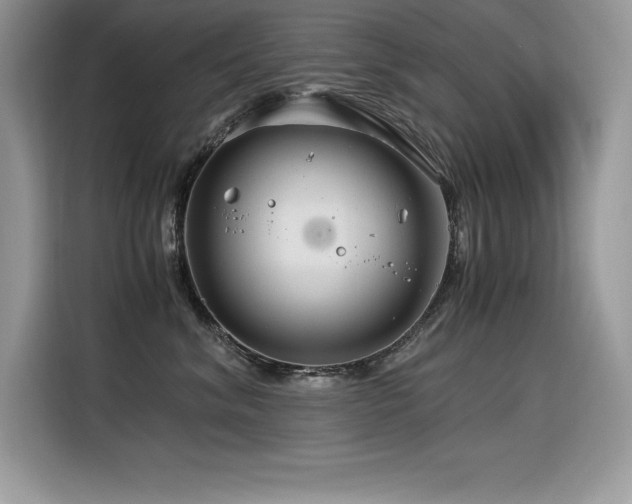 X0000116390620200912021541