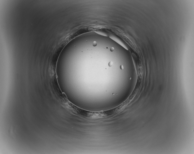 X0000116390621200912021541
