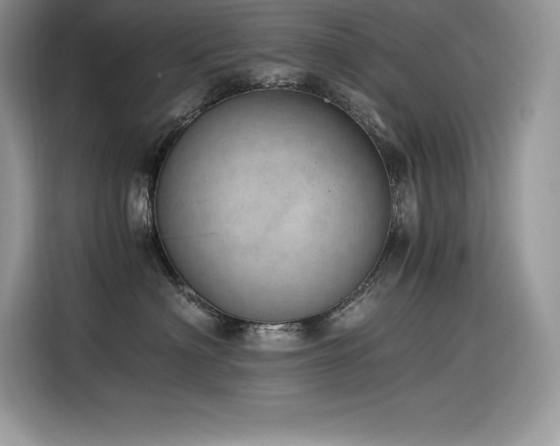 X0000116390622200912021541