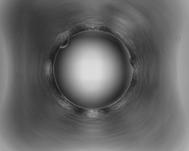 X0000116390623200912021541