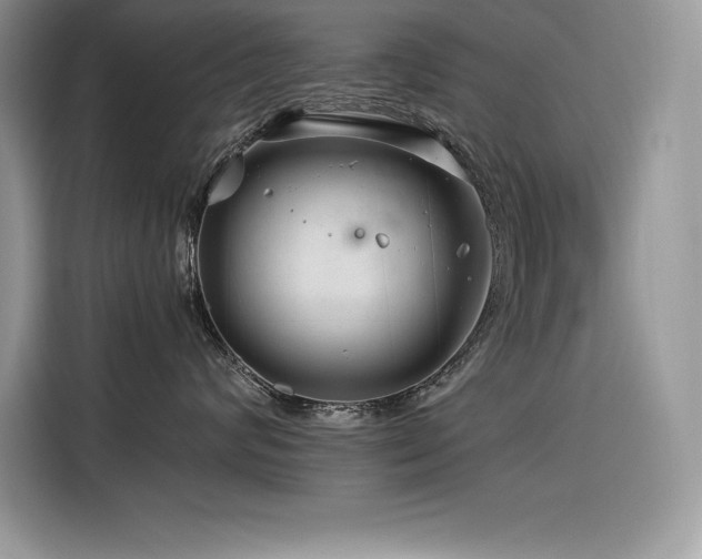 X0000116390624200912021541