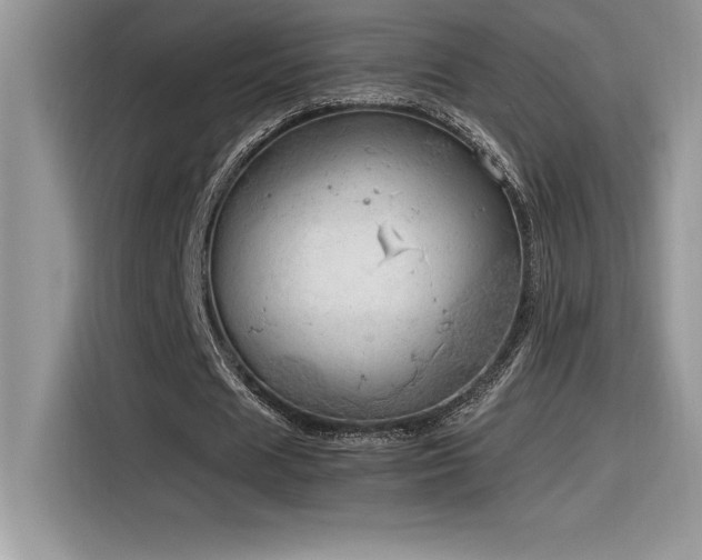 X0000116390625200912021540