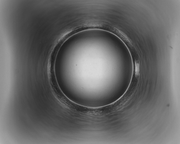 X0000116390627200912021540