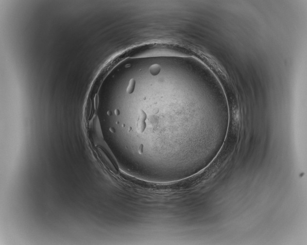 X0000116390628200912021540