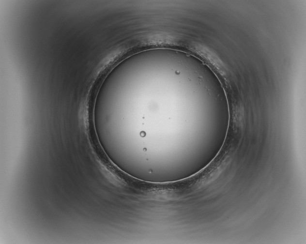 X0000116390629200912021540