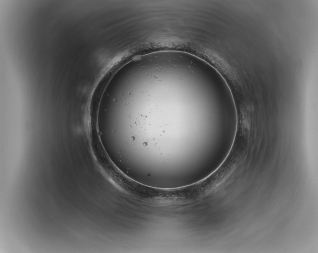 X0000116390630200912021540