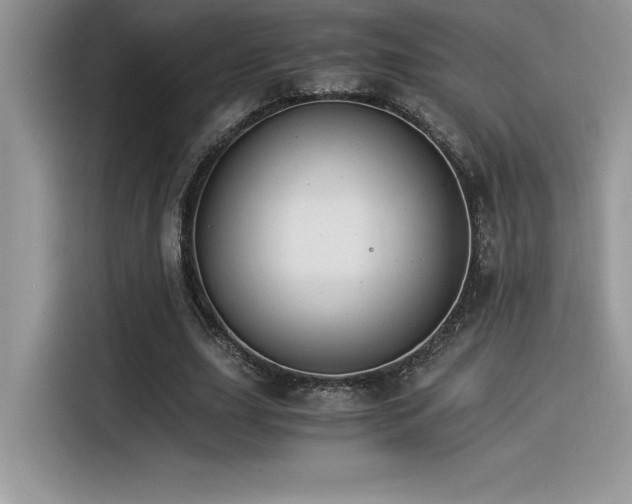 X0000116390631200912021540