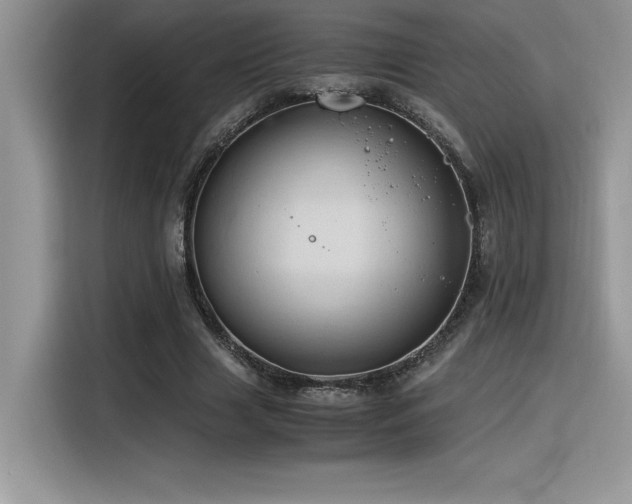 X0000116390633200912021540