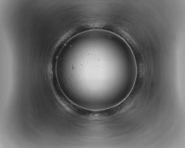 X0000116390634200912021540