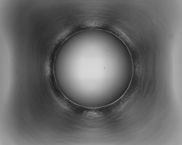X0000116390635200912021540